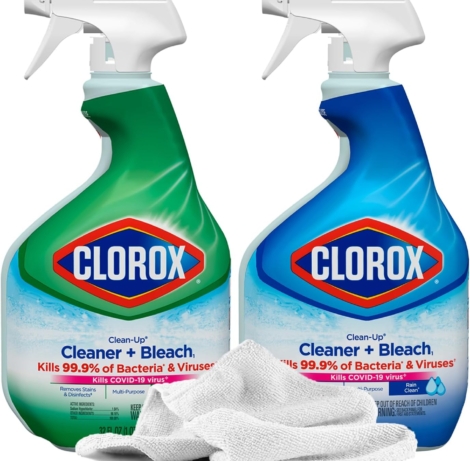 clorox bleach