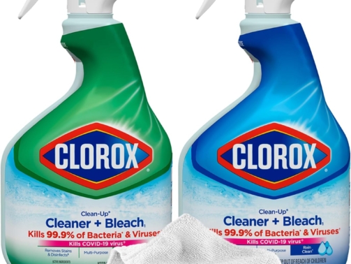 clorox bleach