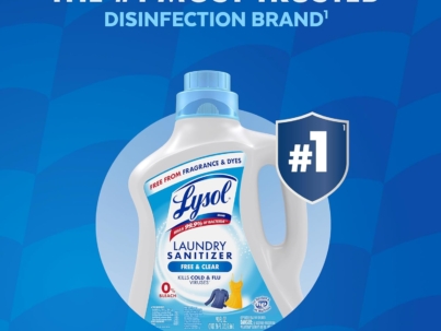 disinfection brand lysol