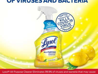 lysol germs killer